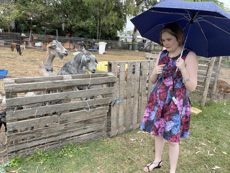 An Alfacare participant meeting goats at a community farm in Mackay